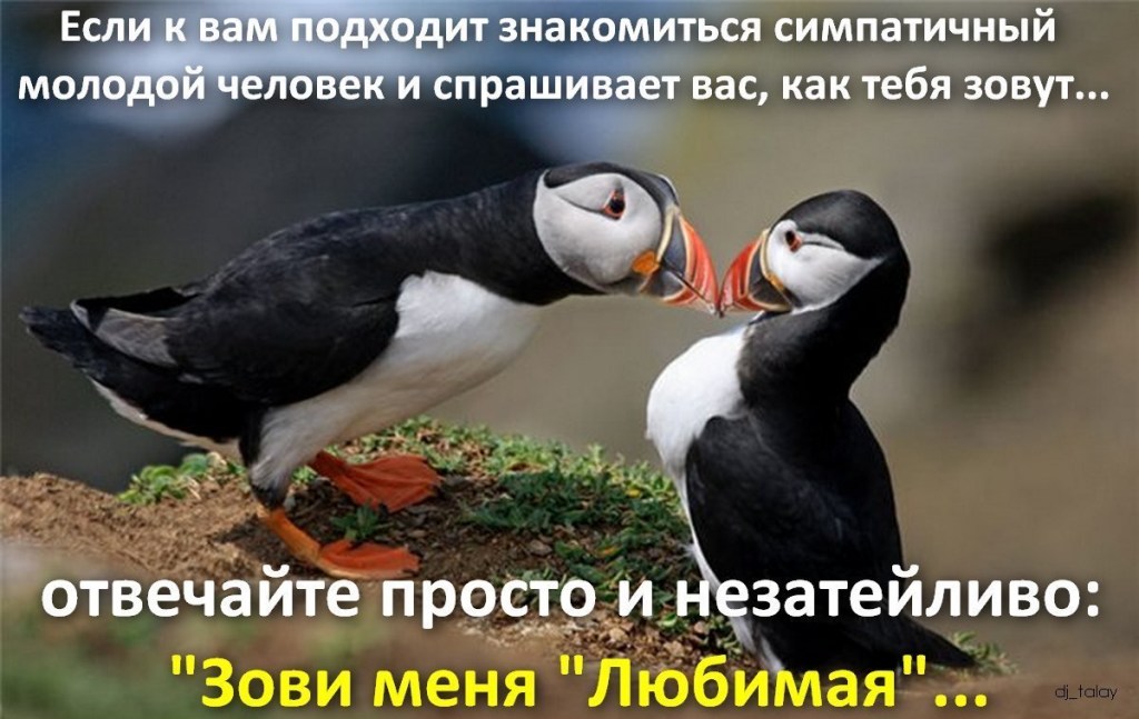 Naked Moldovan Puffins With Cancer 78 Photos Porn Photo