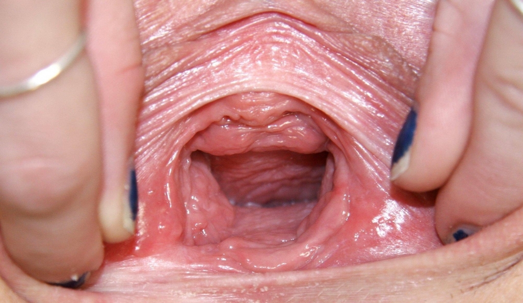 Inside view vagina orgasm