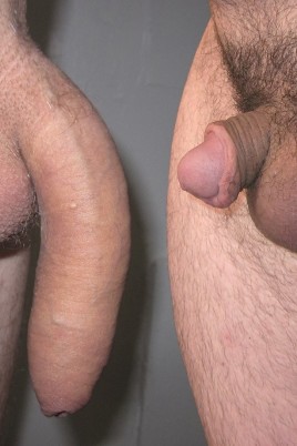 Naked Penis Porn (58 photos)
