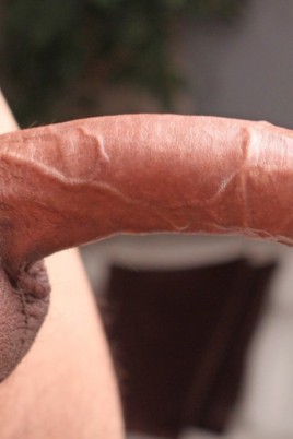 Nice dick close up (85 photos)