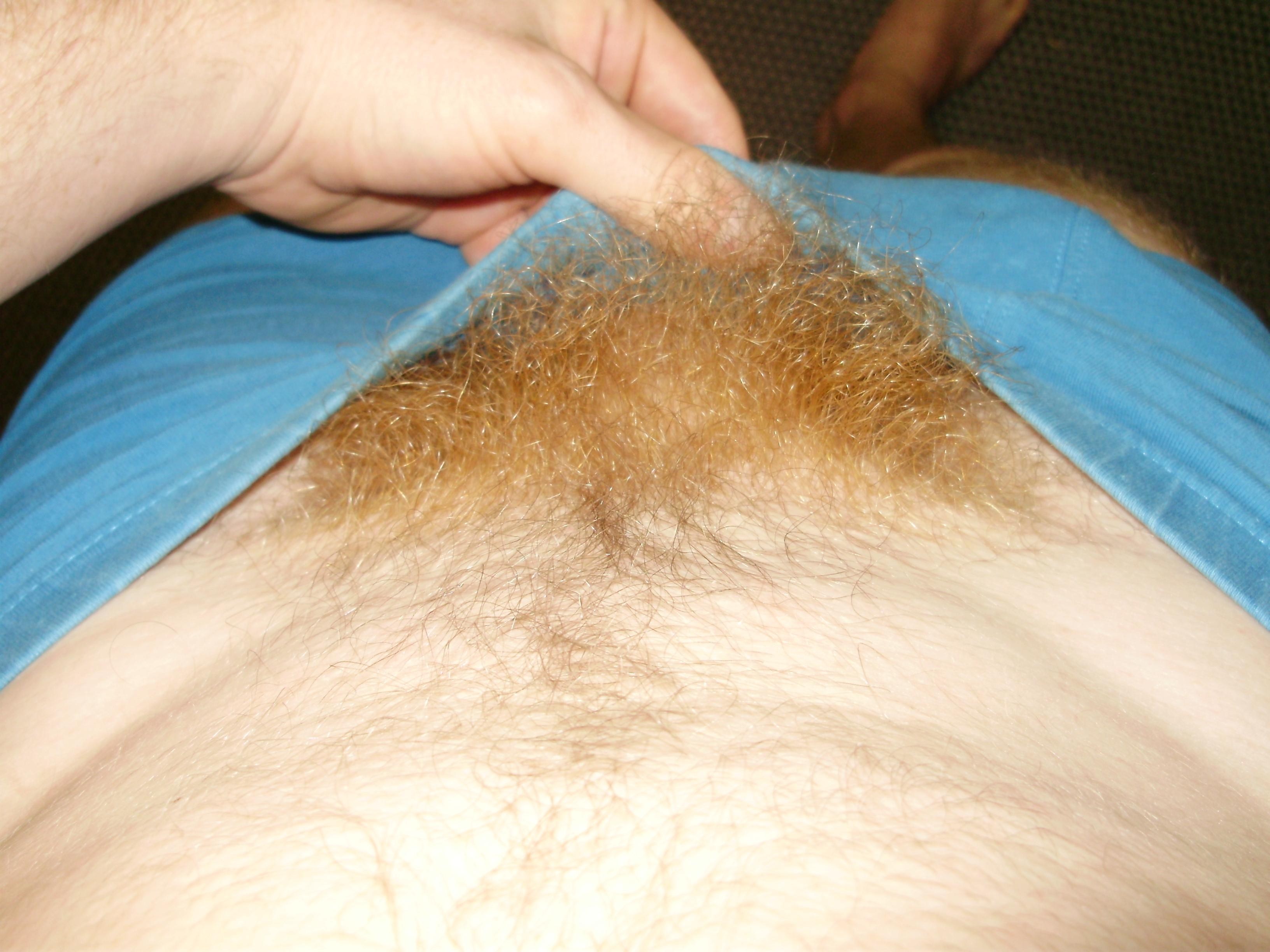 Blonde pubic hair