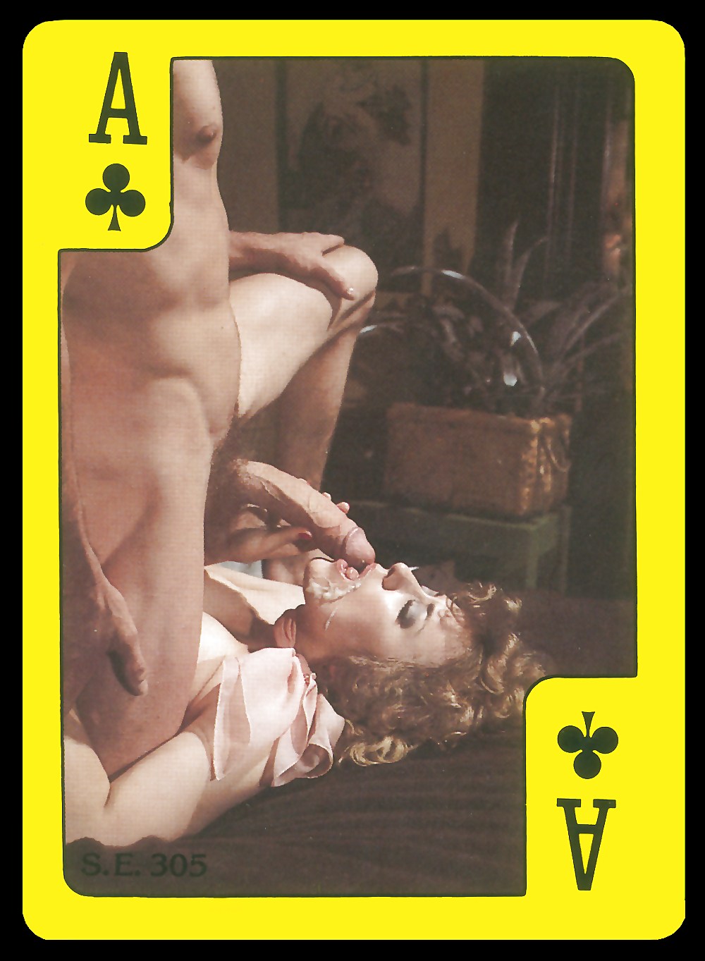 Retro hairy pussy