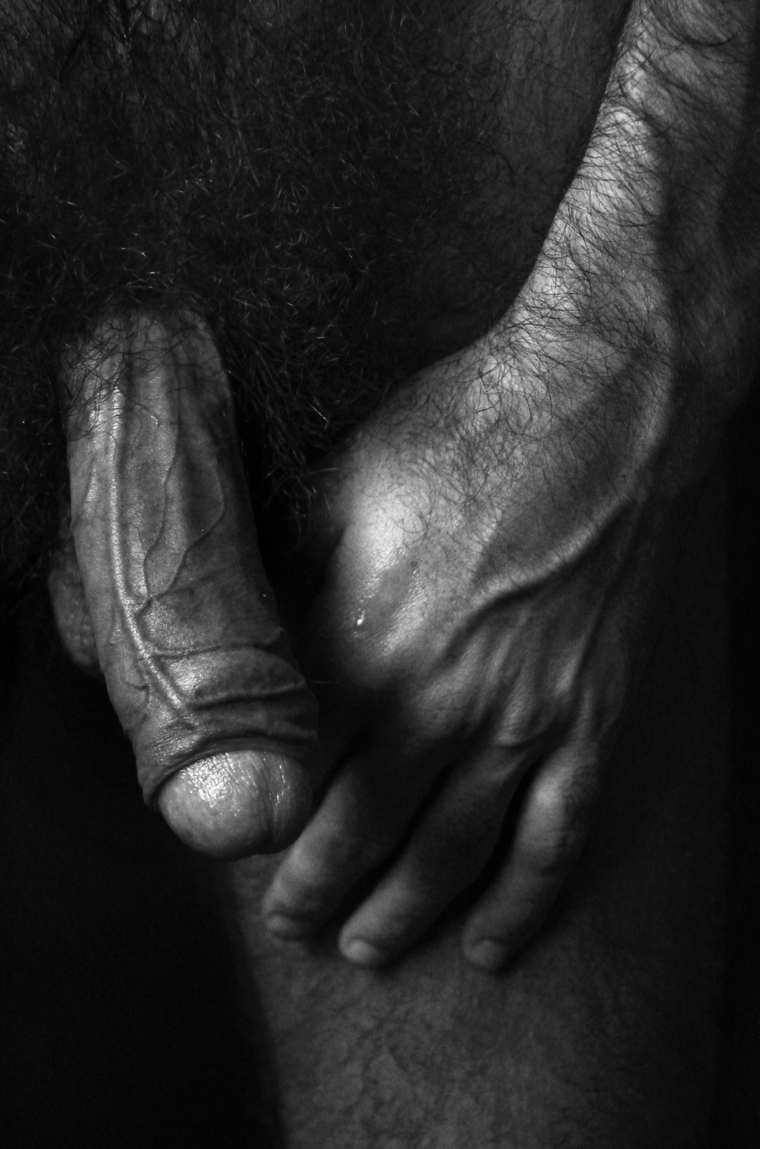 Beautiful naked men's members
