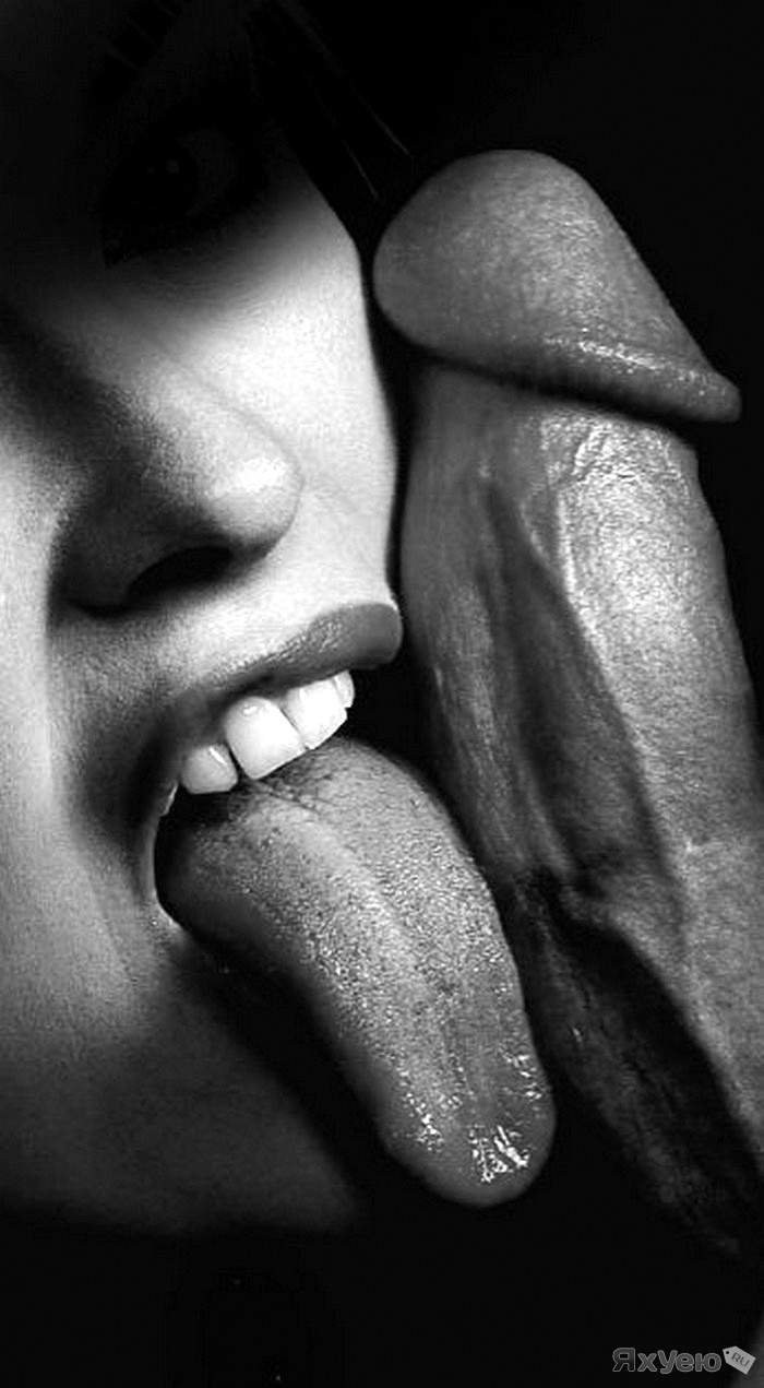 Black And White Erotic Photography Blowjob - Erotic in black white (64 photos) - porn photo