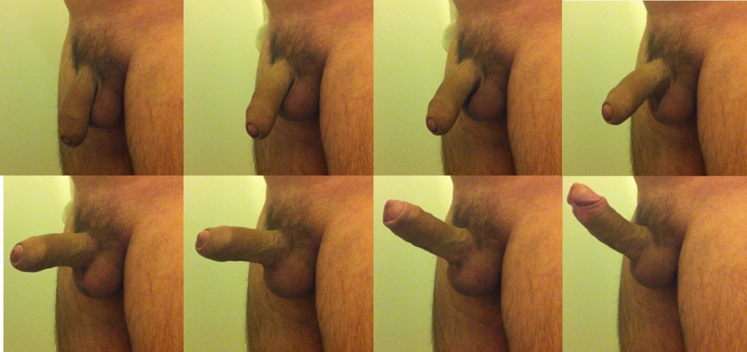 Male member without erection