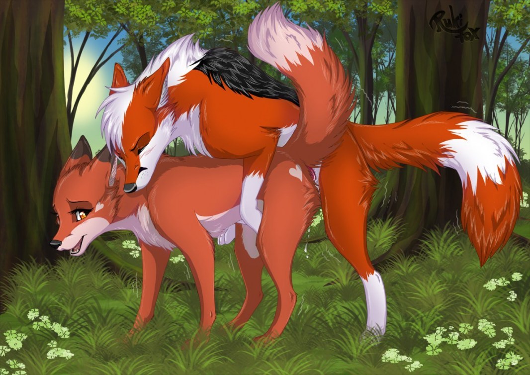 RukiFox EBBI Fuck Adventures
