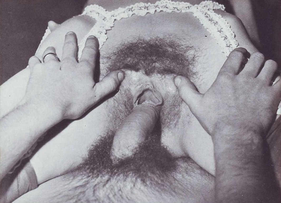 Vintage hairy brunettes