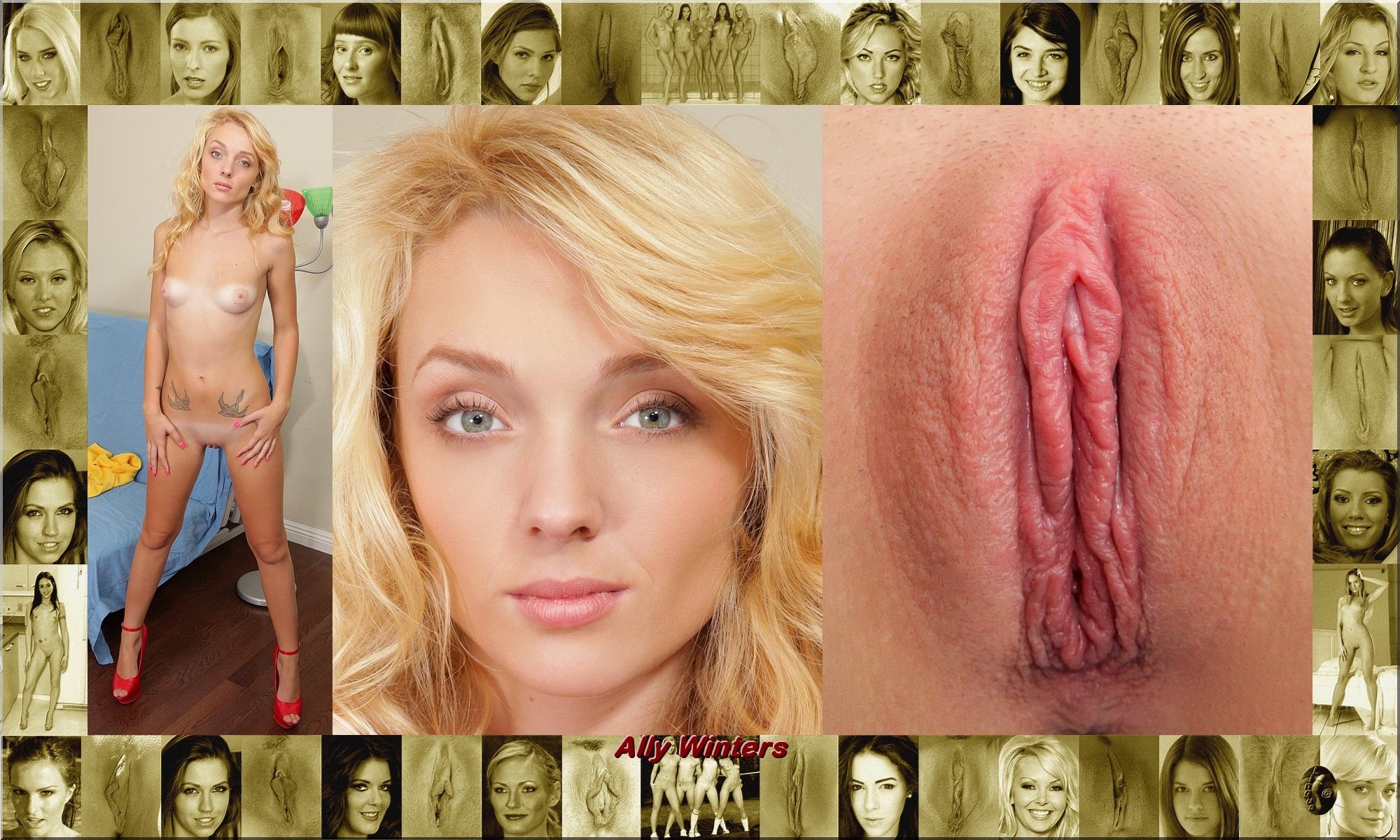 Celebrity vagina (65 photos) - porn photo