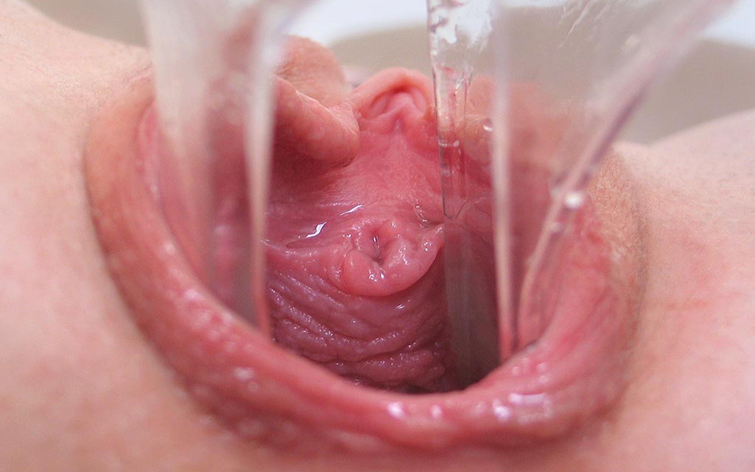 сперма внутри влагалища беременность фото 26