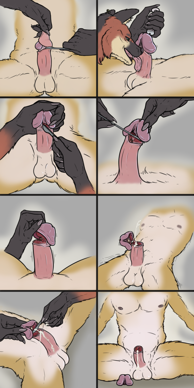 Anthro castration porn comic