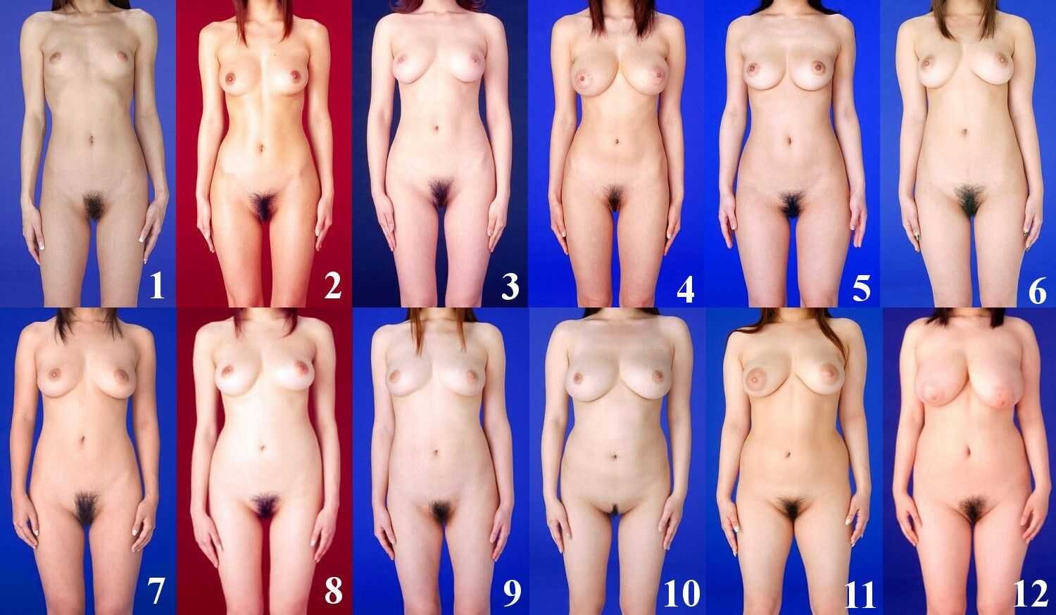 1500px x 874px - Erotica Female Breasts Size 3 (66 photos) - porn photo