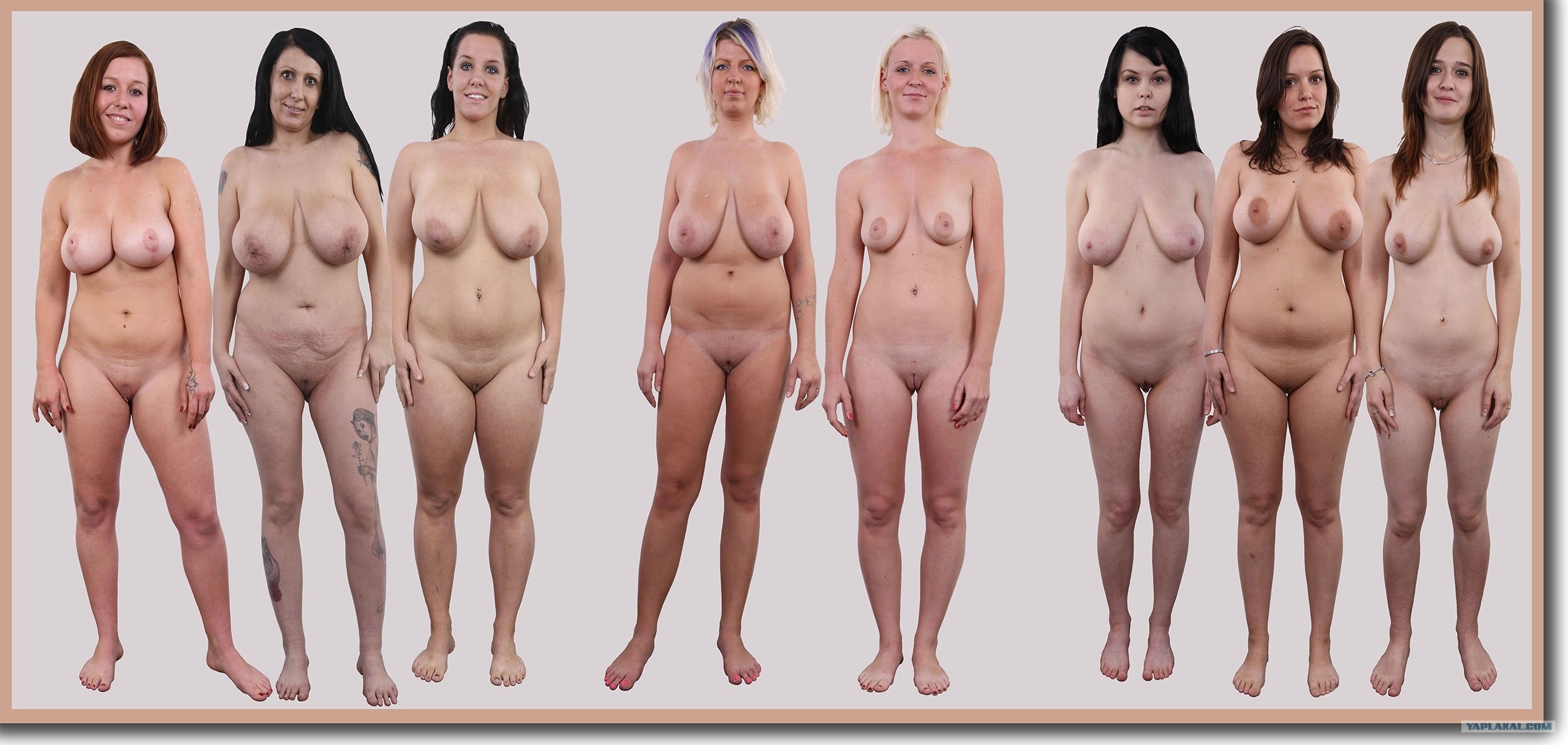 2500px x 1188px - Erotica Female Breasts Size 3 (66 photos) - porn photo