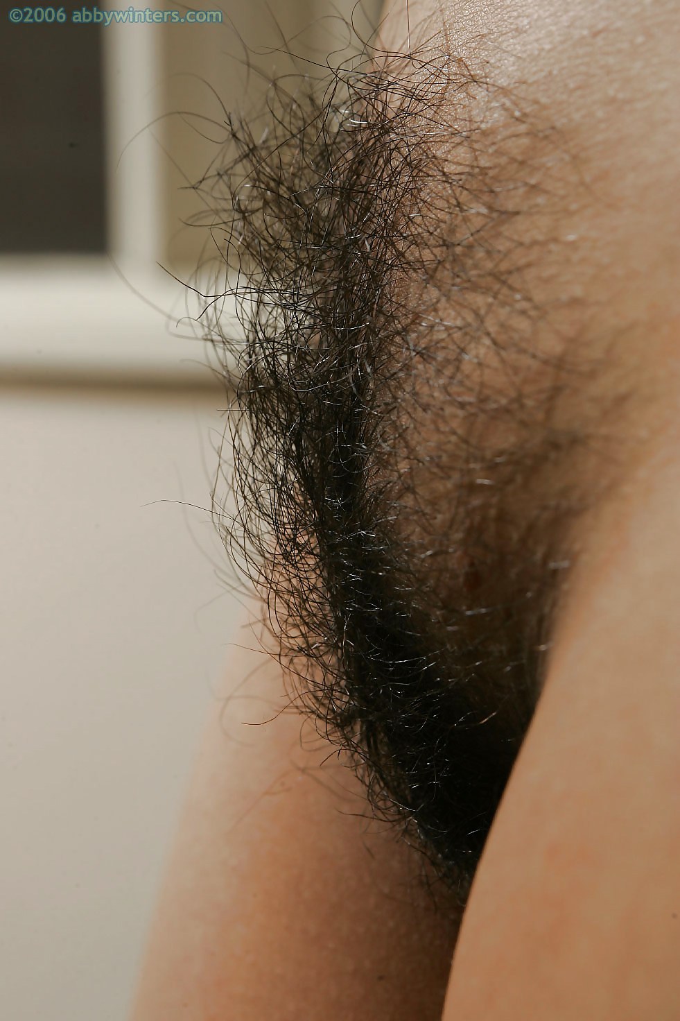 Very hairy female pubis