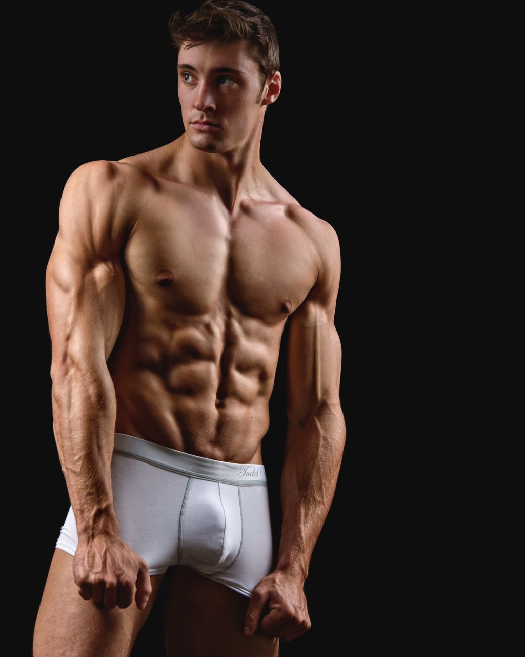Chris Redfield Re8 torso