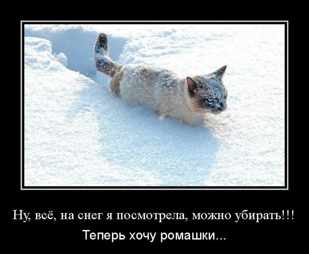 Demotivators are funny