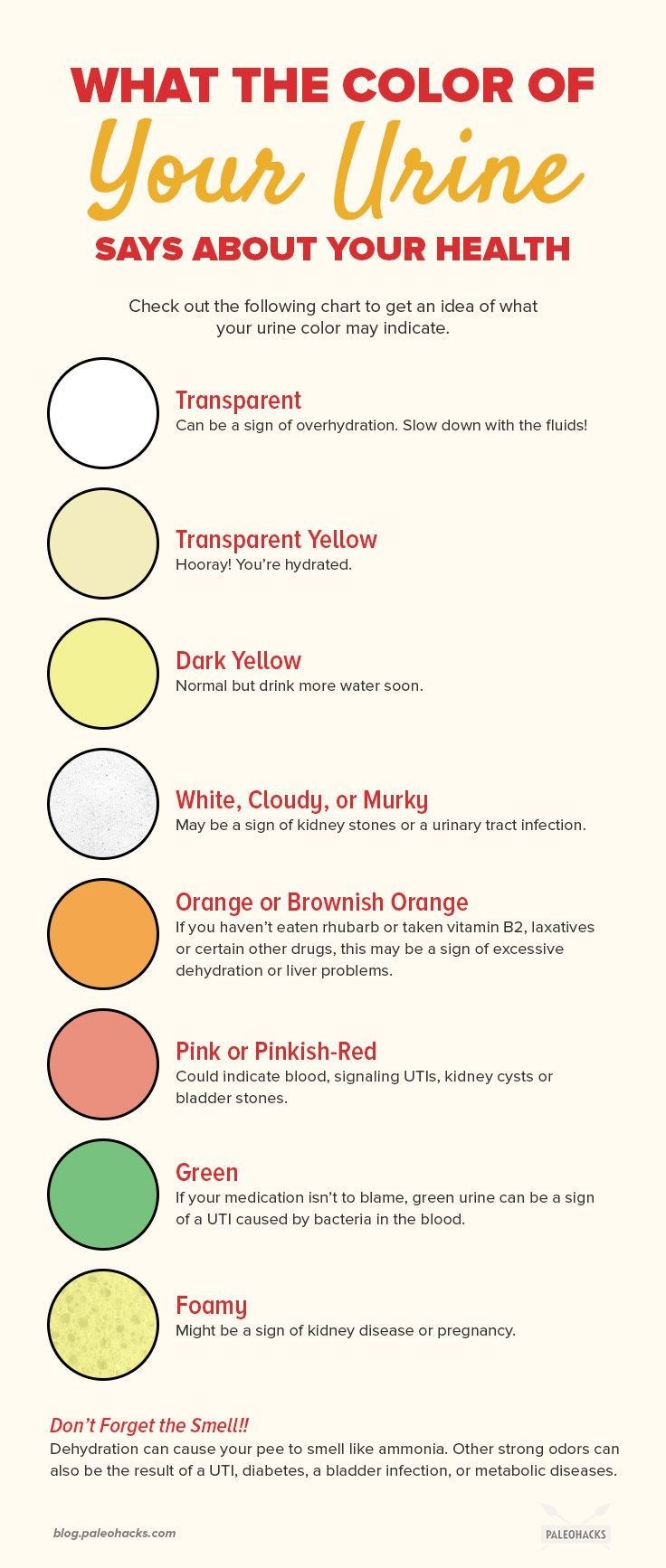 Urine Color Normal