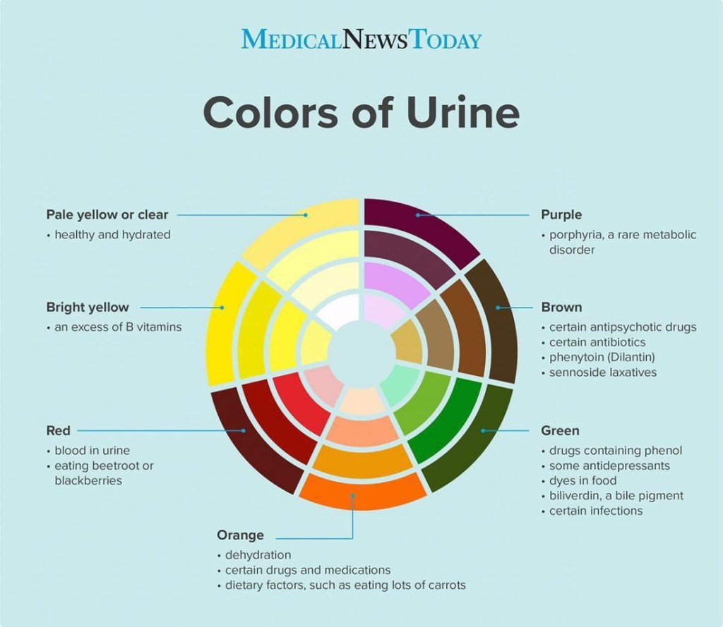Urine Color