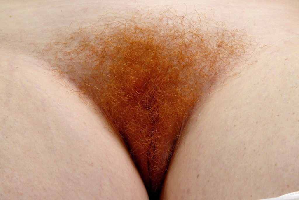 Red hair on the vagina