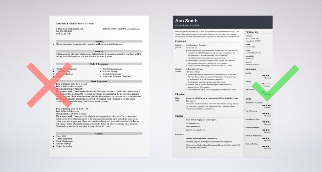 The resume of the programmer